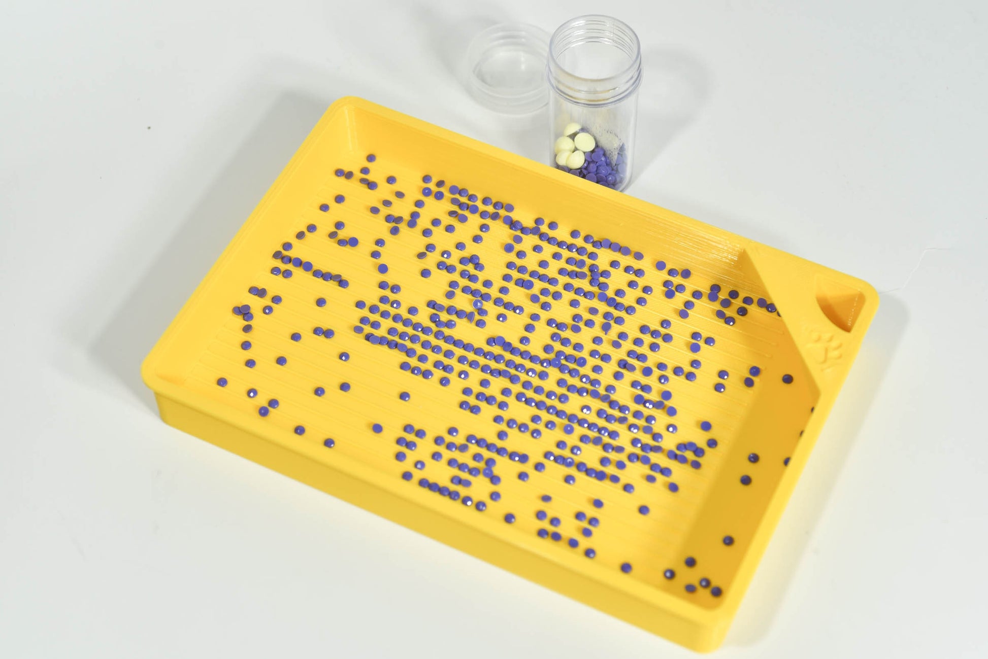 Good Day Sunshine - GRIDDED SPECIAL EDITION - Cat-Proof Diamond Painting Tray with Lid